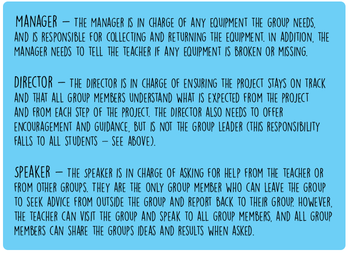 group roles