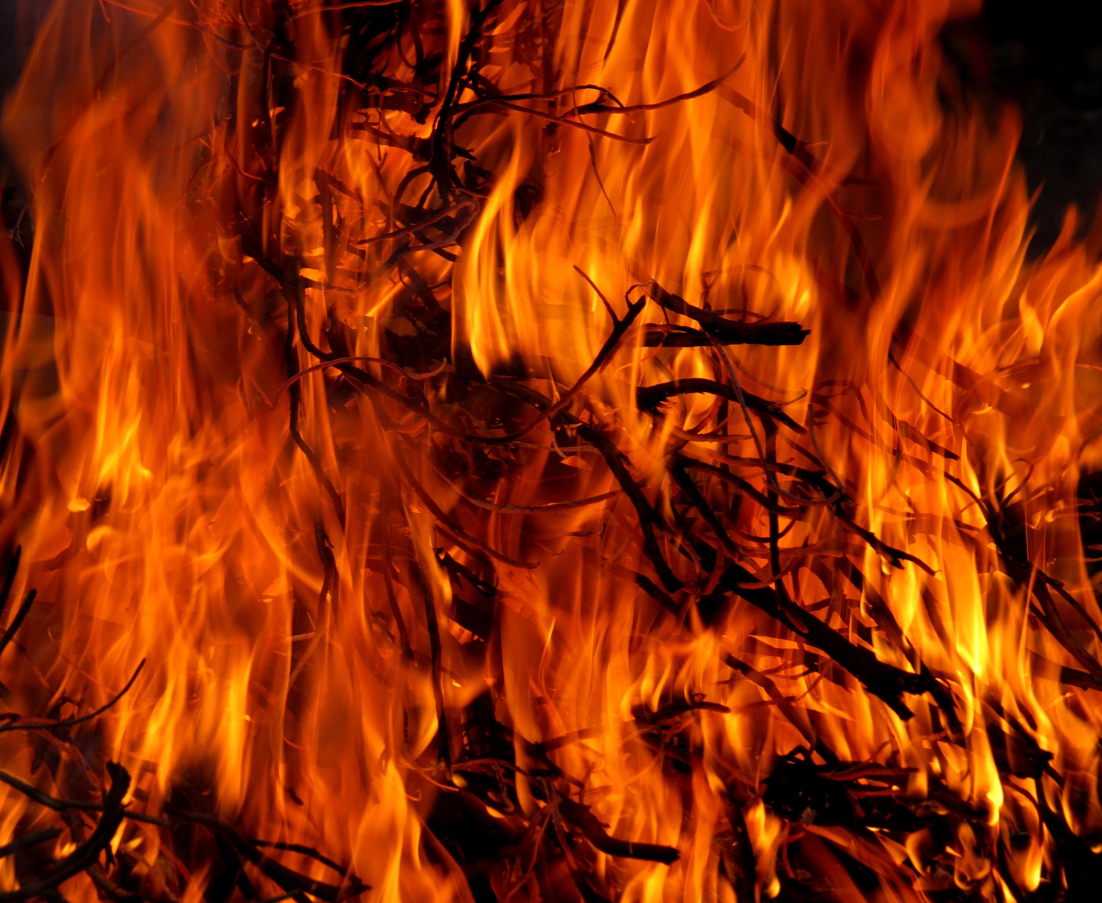 How Do Bushfires Start