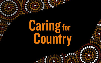 Caring For Country Introductory Lesson Acknowledgemen - vrogue.co