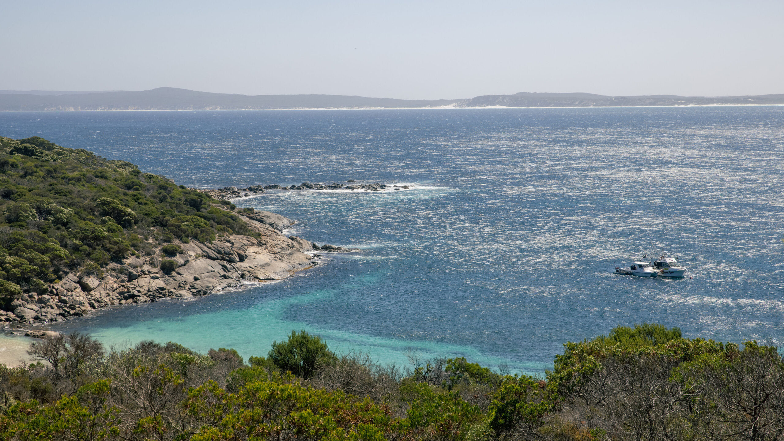 Blueback We need to protect 30 of our oceans by 2030 Year 5 HASS